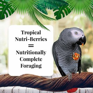 Lafeber Tropical Fruit Nutri-Berries Parrot Food, 10-oz bag