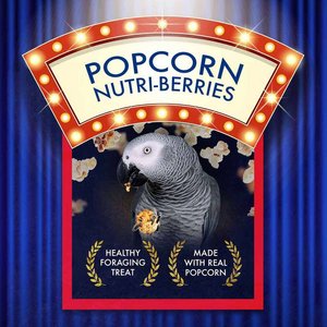 Lafeber Popcorn Nutri-Berries Parrot Bird Treat, 4-oz bag