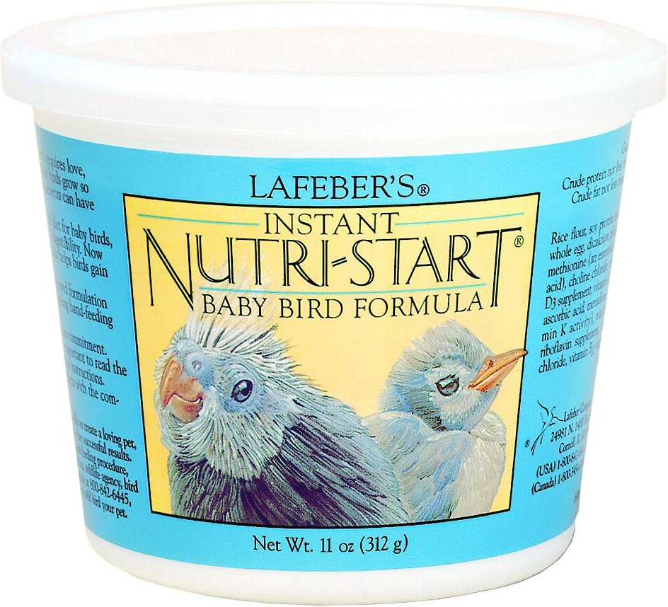 Baby parrot food discount formula