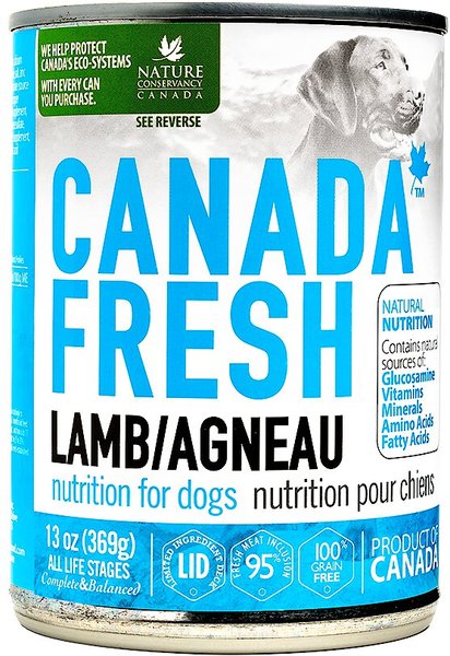 Chewy dog cheap food canada