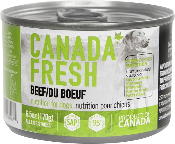 Canada Fresh Beef Canned Dog Food, 6.5-oz, case of 24 slide 1 of 4