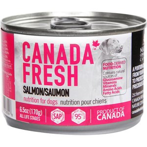 Canada Fresh Salmon Canned Dog Food, 6.5-oz, case of 24