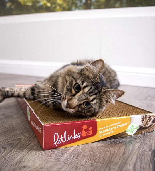 Petlinks Scratcher's Choice+ Corrugated Cat Scratcher Toy with Catnip