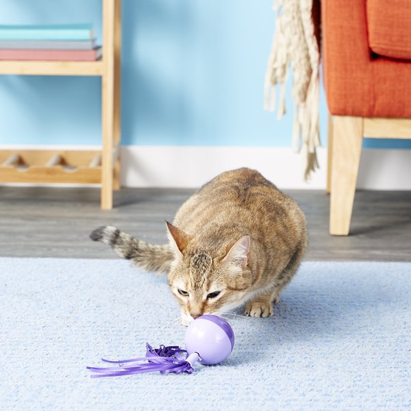 SmartyKat Chirpy Ball Cat Toy