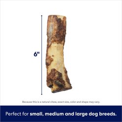 Bones & Chews Made in USA Beef Rib Bone 6" Dog Treat, 6 count slide 2 of 4