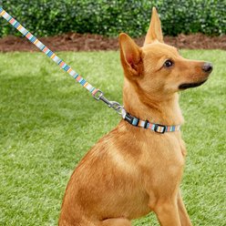 Frisco Patterned Polyester Dog Leash, X-Small: 6-ft long, 3/8-in wide, Geo Graphic Print slide 2 of 5