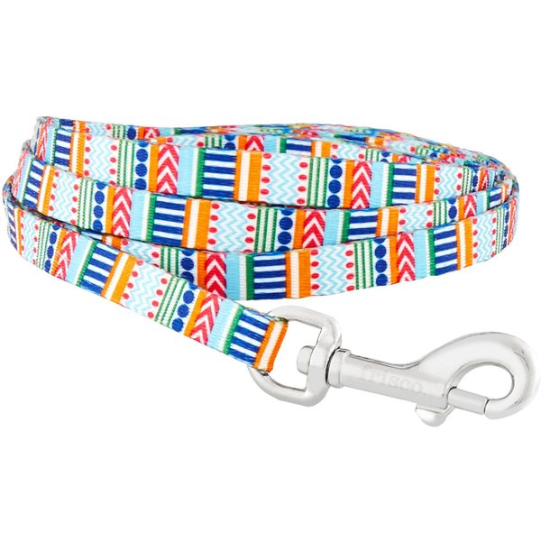FRISCO Patterned Neoprene Dog Leash, Pineapple, Large 6ft long, 3/4