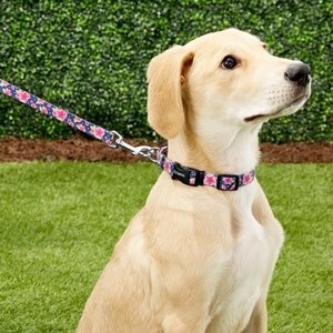 Frisco Patterned Polyester Dog Leash, Small: 6-ft long, 5/8-in wide, Midnight Floral