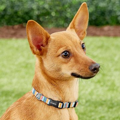 Show full view: Frisco Patterned Polyester Dog Collar, Geo Graphic Print, X-Small slide 3 of 8