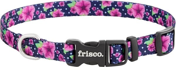 Frisco Patterned Polyester Dog Collar, Midnight Floral, X-Small: 8 to 12-in neck, 3/8-in wide slide 1 of 7