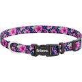 Frisco Patterned Polyester Dog Collar, Midnight Floral, X-Small: 8 to 12-in neck, 3/8-in wide