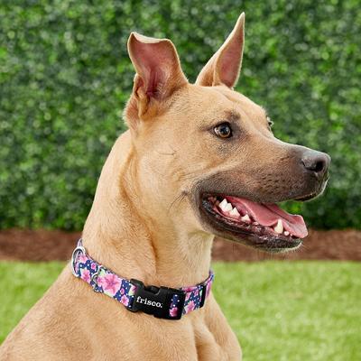 Show full view: Frisco Patterned Polyester Dog Collar, Midnight Floral, Large/X-Large slide 3 of 8