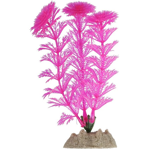 GLOFISH Aquarium Plant, Pink, Small - Chewy.com