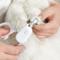 Show in main carousel: One for Pets with Led & Wood's Lamp Cat Nail Clippers, Gray slide 5 of 9