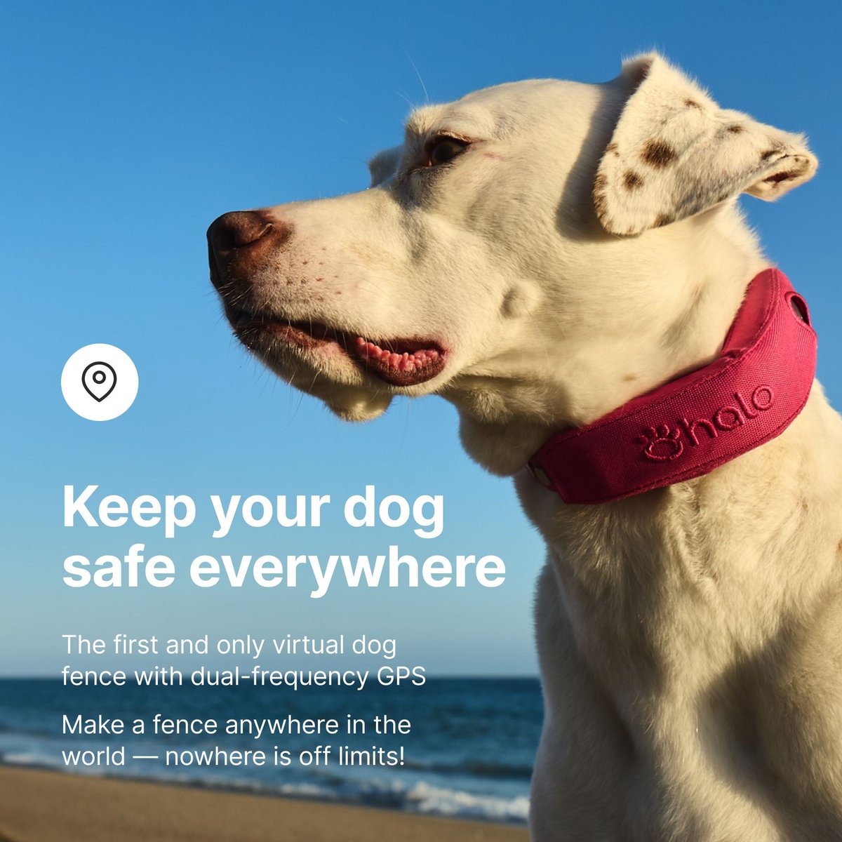 Halo Collar Smart Dog Collar with Virtual Fence, GPS, Activity Tracking & Training