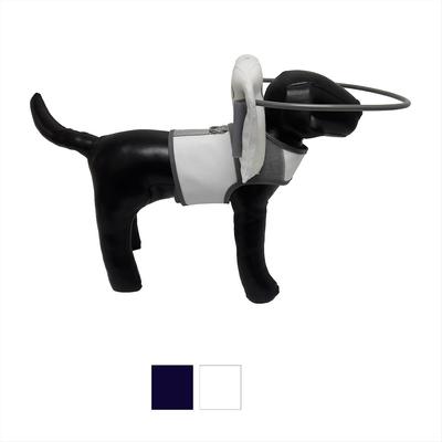 Show full view: Muffin's Halo For Blind Dogs Angel Wing Blind Dog Bumper, White, X-Small slide 6 of 12