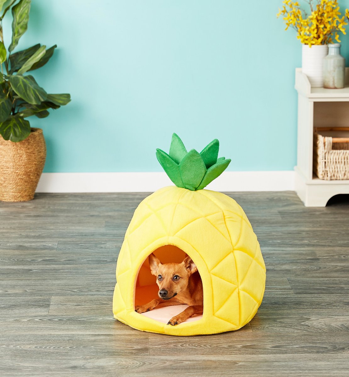 YML Pineapple Covered Cat & Dog Bed, Small