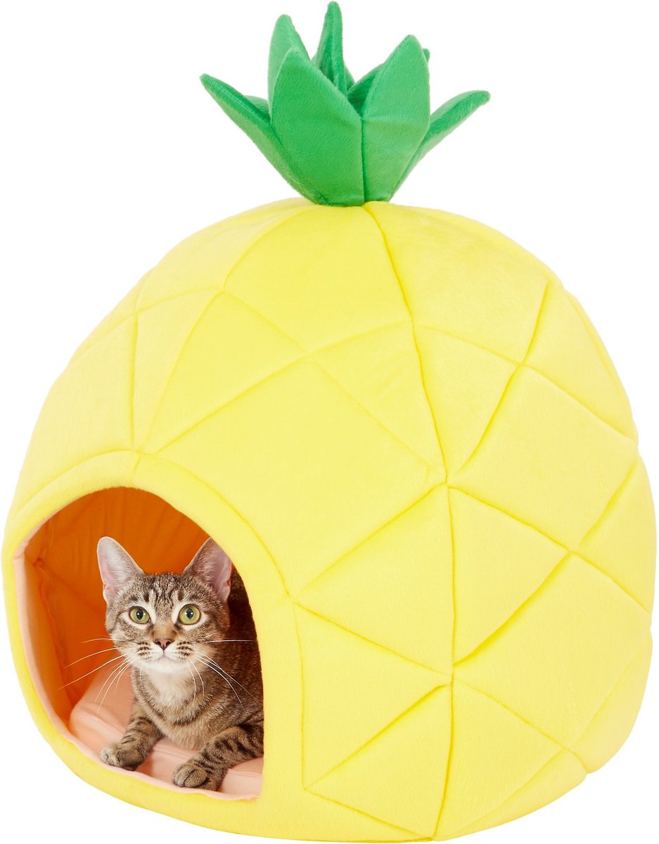 YML Pineapple Covered Cat & Dog Bed, Small