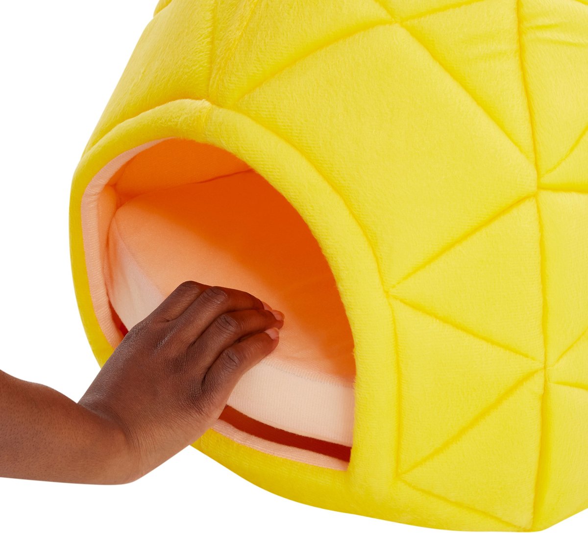 YML Pineapple Covered Cat & Dog Bed, Small