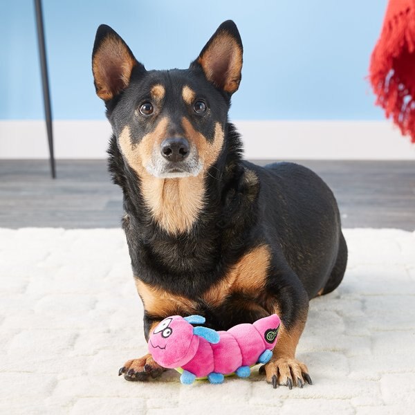 GoDog Bugs Caterpillar Chew Guard Small Plush Squeaker Dog Toy