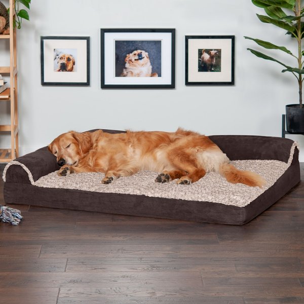 Dog bed for online two small dogs