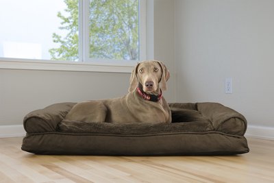 FurHaven Plush & Suede Bolster Dog Bed w/Removable Cover, slide 1 of 1