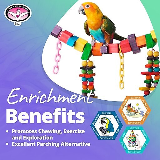 Super Bird Creations Rainbow Bridge Bird Toy, Medium/Large