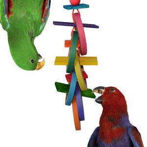 Super Bird Creations Olympic Rings Bird Toy, Large