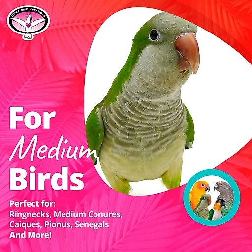 Super Bird Creations Wiggles & Wafers Bird Toy, Medium
