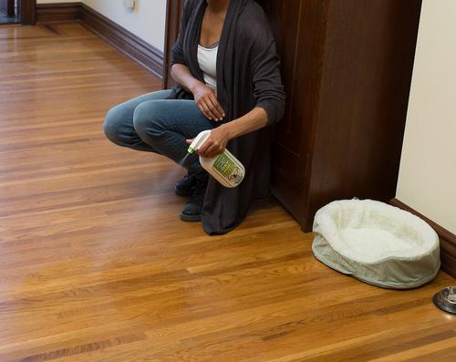 Show full view: Simple Green Oxy Dog Stain & Odor Oxidizer, 32-fl oz bottle slide 3 of 4