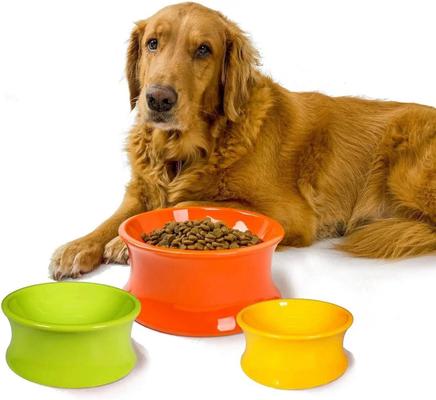 Show full view: One for Pets Kurve Non-Skid Elevated Dog & Cat Bowl, Clementine, Medium: 26-oz slide 2 of 6