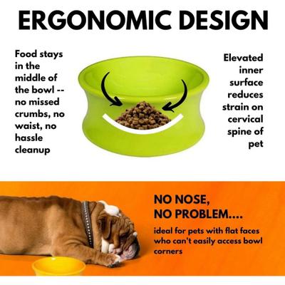 Show full view: One for Pets Kurve Non-Skid Elevated Dog & Cat Bowl, Clementine, Medium: 26-oz slide 3 of 6