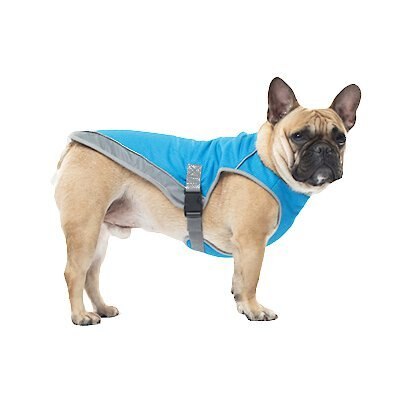 chewy dog cooling vests