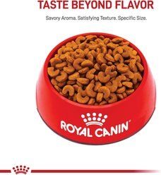 Royal Canin Breed Health Nutrition French Bulldog Puppy Dry Dog Food, 3-lb bag slide 2 of 9