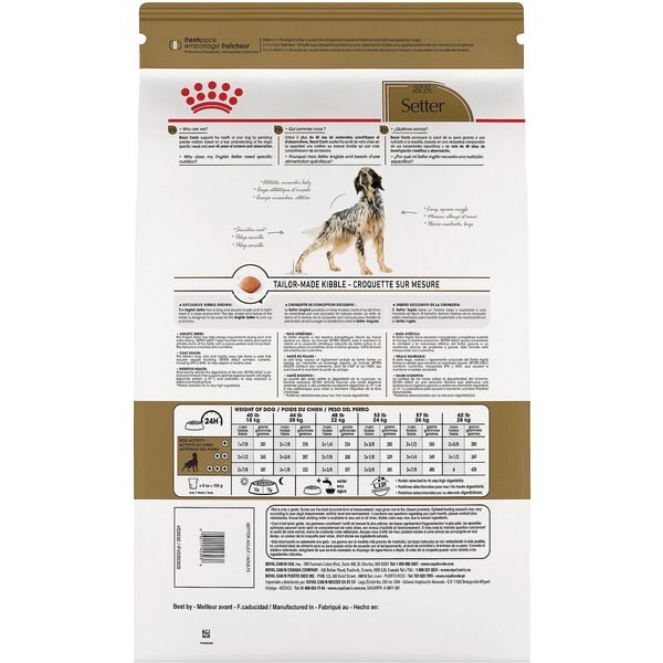 royal canin setter dog food