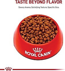 Royal Canin Breed Health Nutrition Cavalier King Charles Puppy Dry Dog Food, 3-lb bag slide 2 of 7