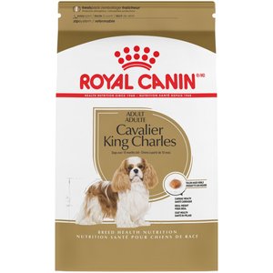 Royal Canin Breed Health Nutrition Cavalier King Charles Adult Dry Dog Food, 10-lb bag