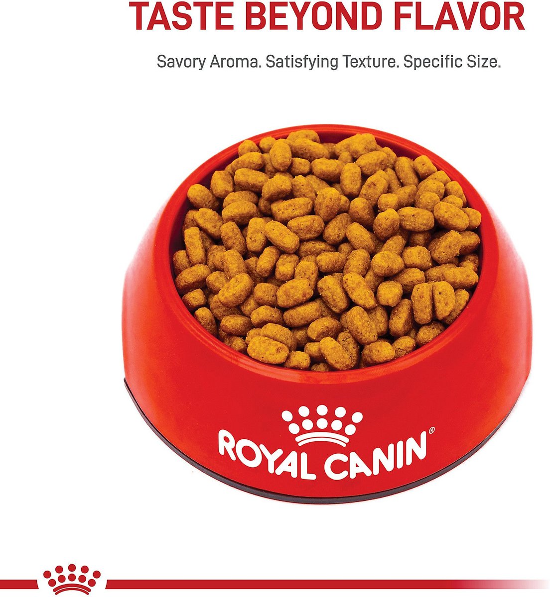 ROYAL CANIN Breed Health Nutrition Maltese Adult Dry Dog Food, 10lb bag
