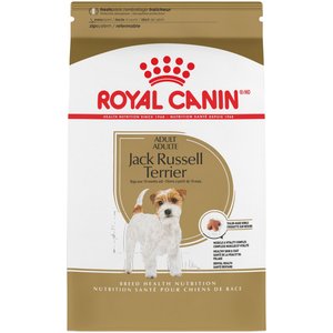 Royal Canin Breed Health Nutrition Jack Russell Terrier Adult Dry Dog Food, 10-lb bag