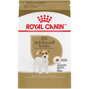 Royal Canin Breed Health Nutrition Jack Russell Terrier Adult Dry Dog Food, 10-lb bag
