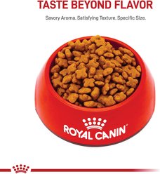 Royal Canin Breed Health Nutrition Jack Russell Terrier Adult Dry Dog Food, 10-lb bag slide 2 of 8