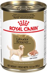Royal Canin Breed Health Nutrition Labrador Retriever Adult Loaf in Sauce Canned Dog Food, 13.5-oz, case of 12