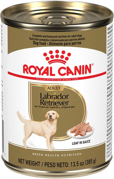 Royal Canin Breed Health Nutrition Labrador Retriever Adult Loaf in Sauce Canned Dog Food, 13.5-oz, case of 12 slide 1 of 10