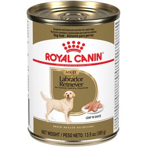 chewy royal canin labrador