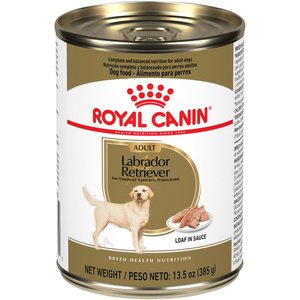 Royal Canin Breed Health Nutrition Labrador Retriever Adult Loaf in Sauce Canned Dog Food, 13.5-oz, case of 12