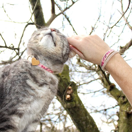 Pettsie Heart Cotton Breakaway Cat Collar with Friendship Bracelet, Pink, 8 to 11-in neck, 3/8-in wide