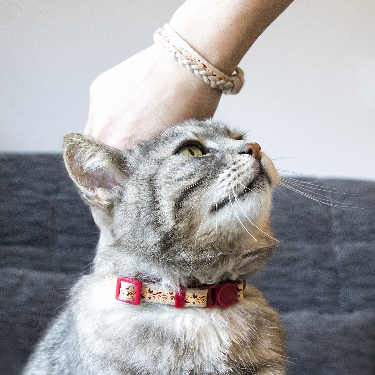 Cat collar with matching hot sale bracelet