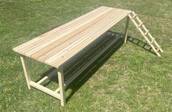 Zylina Best Rest Table with Ramp Nesting Box, 68 x20 x 20-in slide 2 of 6
