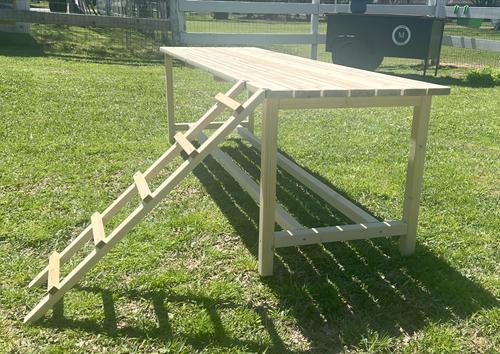 Show full view: Zylina Best Rest Table with Ramp Nesting Box, 68 x20 x 20-in slide 3 of 6
