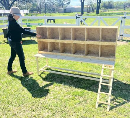 Show full view: Zylina Best Rest Table with Ramp Nesting Box, 68 x20 x 20-in slide 5 of 6